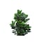 Monarch Specialties Artificial Plant, 31" Tall, Garcinia Tree, Indoor, Faux, Fake, Floor, Greenery, Potted, Real Touch I 9507 - alternate 2